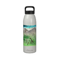 International de CTC - paysage bouteilles