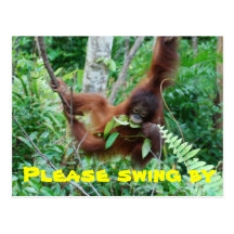 Invitation animale mignonne de partie de partouzeu cartes postales