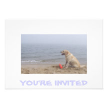Invitation avec la photo de Labrador