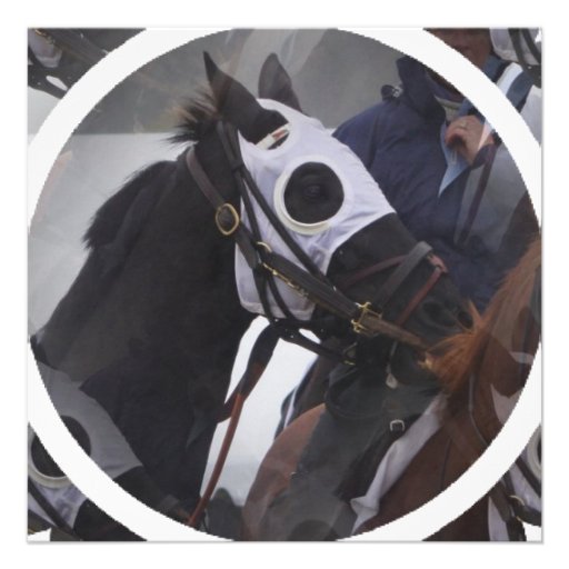 Invitation de cheval de course