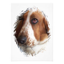 Invitation de chien de basset-hound