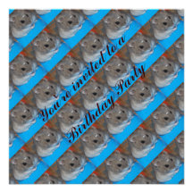Invitation de fête d'anniversaire de hamster