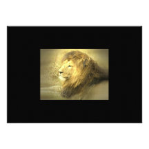Invitation de fierté de lion
