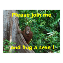Invitation de Hugger d'arbre de faune Cartes Postales