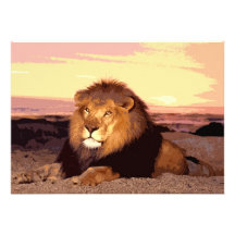 Invitation de lion - invitations de lion