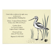 Invitation de l'oiseau marin d'avocette