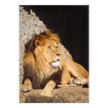 Invitation de photo de lion