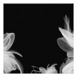 Invitation de plumes blanches