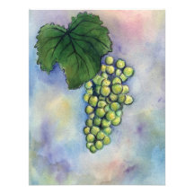 Invitation de raisins de cuve de Chardonnay