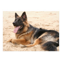 Invitation de repos de chien de berger allemand