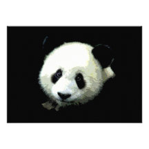 Invitation d'ours panda
