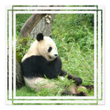 Invitation géante d'ours panda