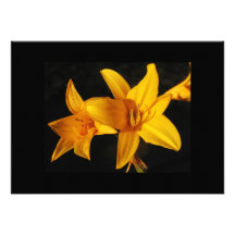 Invitation jaune d'orchidée