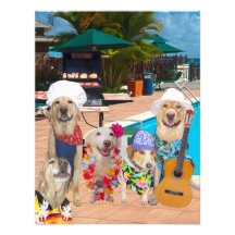 Invitation personnalisable de la piscine Party/BBQ