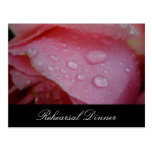 Invitation rose de répétition de mariage de pétale carte postale