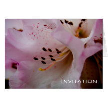 Invitation rose du rhododendron | carte de vœux