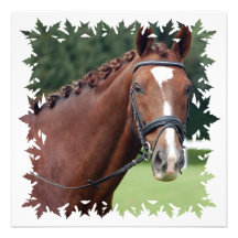 Invitation tressée de crinière de cheval