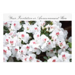 Invitations avec les fleurs blanches de fleur d'az