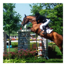 Invitations de cheval de Grand prix