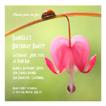 Invitations de coccinelle invitations