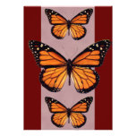 Invitations de papillon de monarque