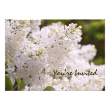 Invitations personnalisables de lilas blancs