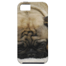 iPhone 5 C de modèle du vibe QPC de l'iphone 5 - c Coques iPhone 5 Case-Mate