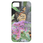 iPhone 5 de Coque-Compagnon de papillon de monarqu Coque iPhone 5