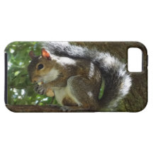 iPhone de coque iphone d'écureuil 5 couvertures iPhone 5 Case