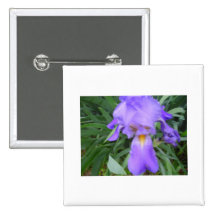 Iris Badges