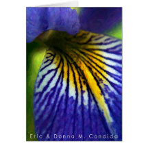 Iris bleu I Cartes De Vœux