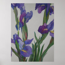 Iris bleu posters