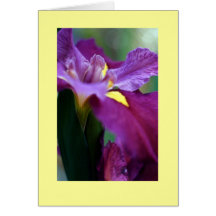 "Iris " Carte De Vœux