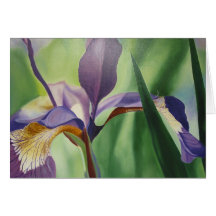 Iris Cartes De Vœux