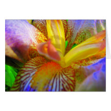 Iris de électrification cartes de vœux