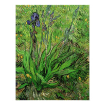 Iris de Van Gogh, art vintage de jardin d'impressi Faire-parts