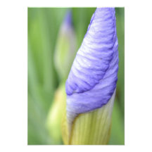 Iris inspiré R.S.V.P. Cartons D'invitation Personnalisés