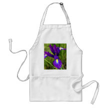 iris.jpg tabliers