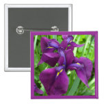 Iris mauve-foncé badges avec agrafe