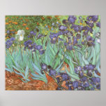 Iris par Vincent van Gogh, beaux-arts vintages Posters