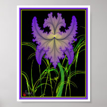 Iris Posters