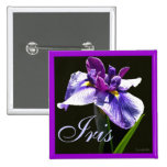 Iris pourpre bleu géant badge