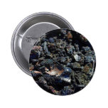 Irisation iridescente de volcans de lave badge avec épingle