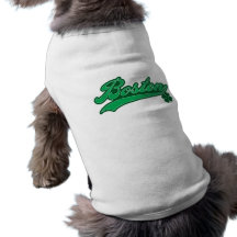 Irlandais Boston Vêtements Pour Chien