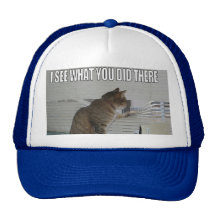 iseewhatyoudidthere casquettes de camionneur