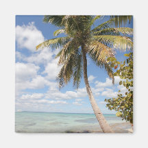 Isla Saona - palmier à la plage Aimants