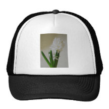 Jacinthe blanche casquette
