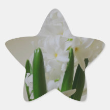 Jacinthe blanche sticker en étoile