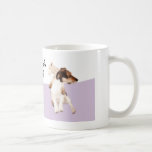 Jack Russell et tasse d'agneau