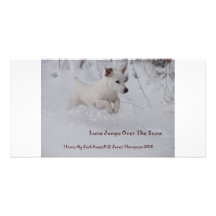 Jack-Russell-in-snow-1 Photocartes